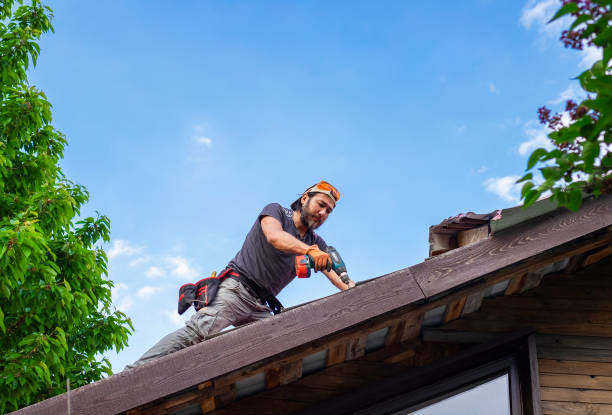 Best Steel Roofing  in Holstein, IA